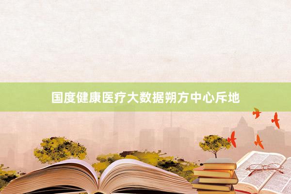 国度健康医疗大数据朔方中心斥地
