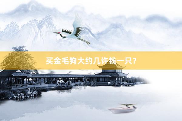 买金毛狗大约几许钱一只？