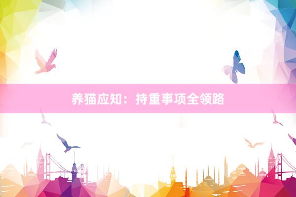 养猫应知：持重事项全领路