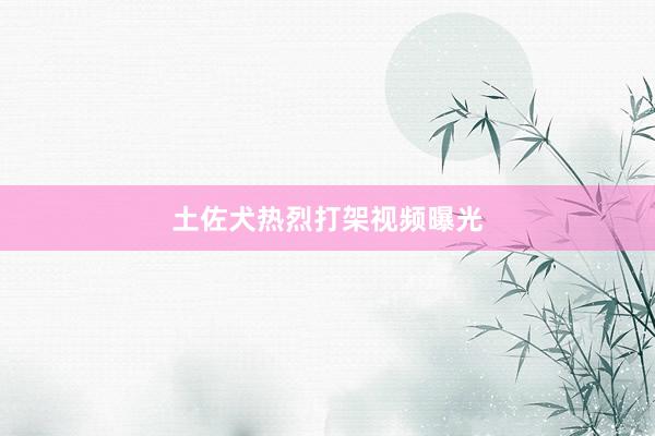 土佐犬热烈打架视频曝光