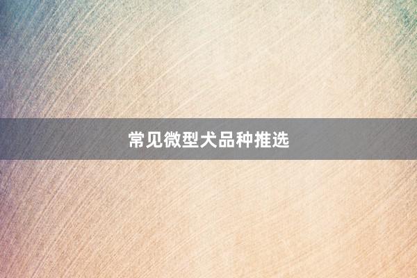 常见微型犬品种推选