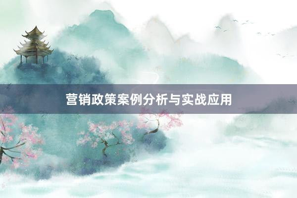 营销政策案例分析与实战应用
